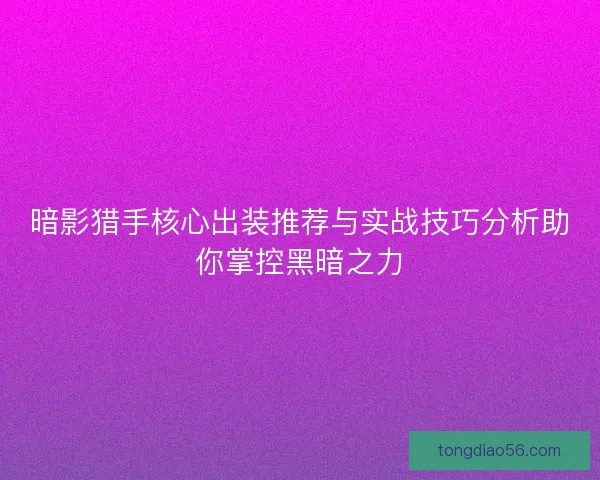 暗影猎手核心出装推荐与实战技巧分析助你掌控黑暗之力